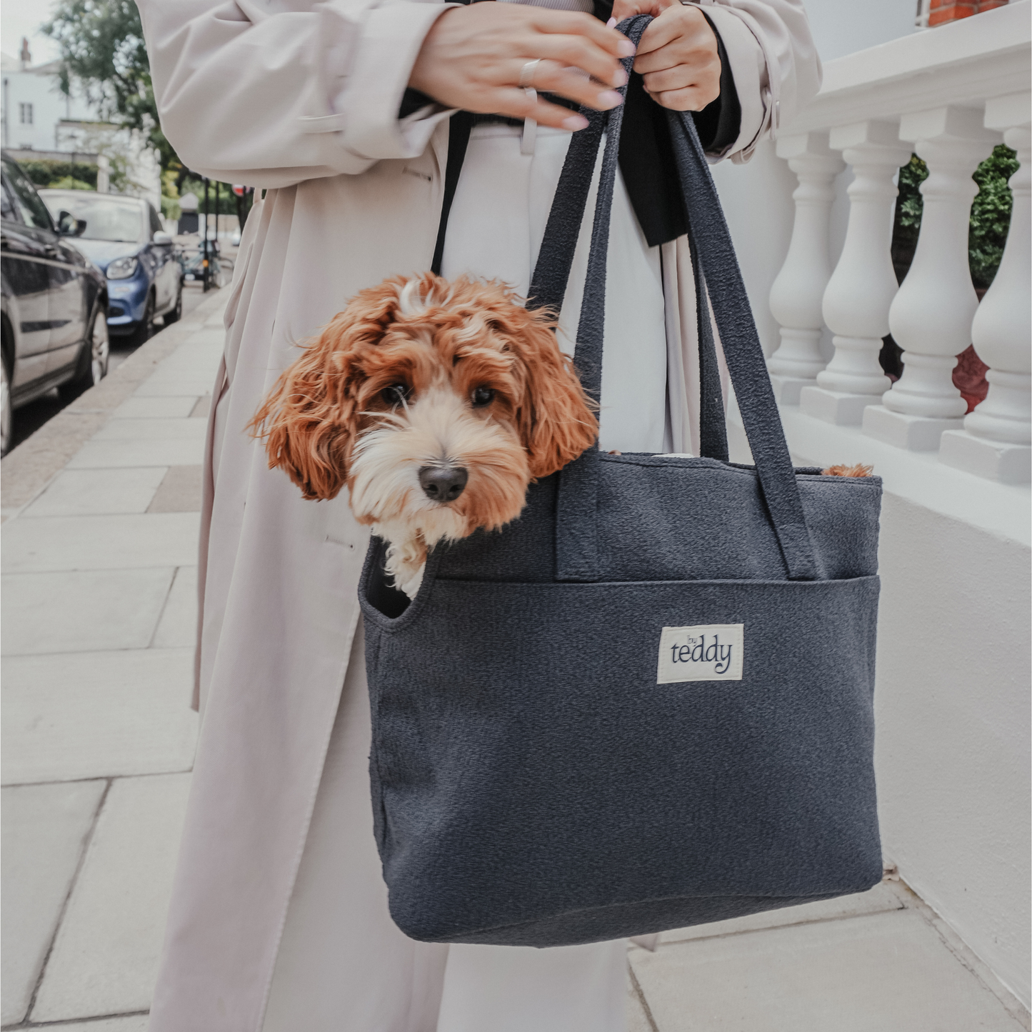 By Teddy - Midnight┃The Bouclé Carrier