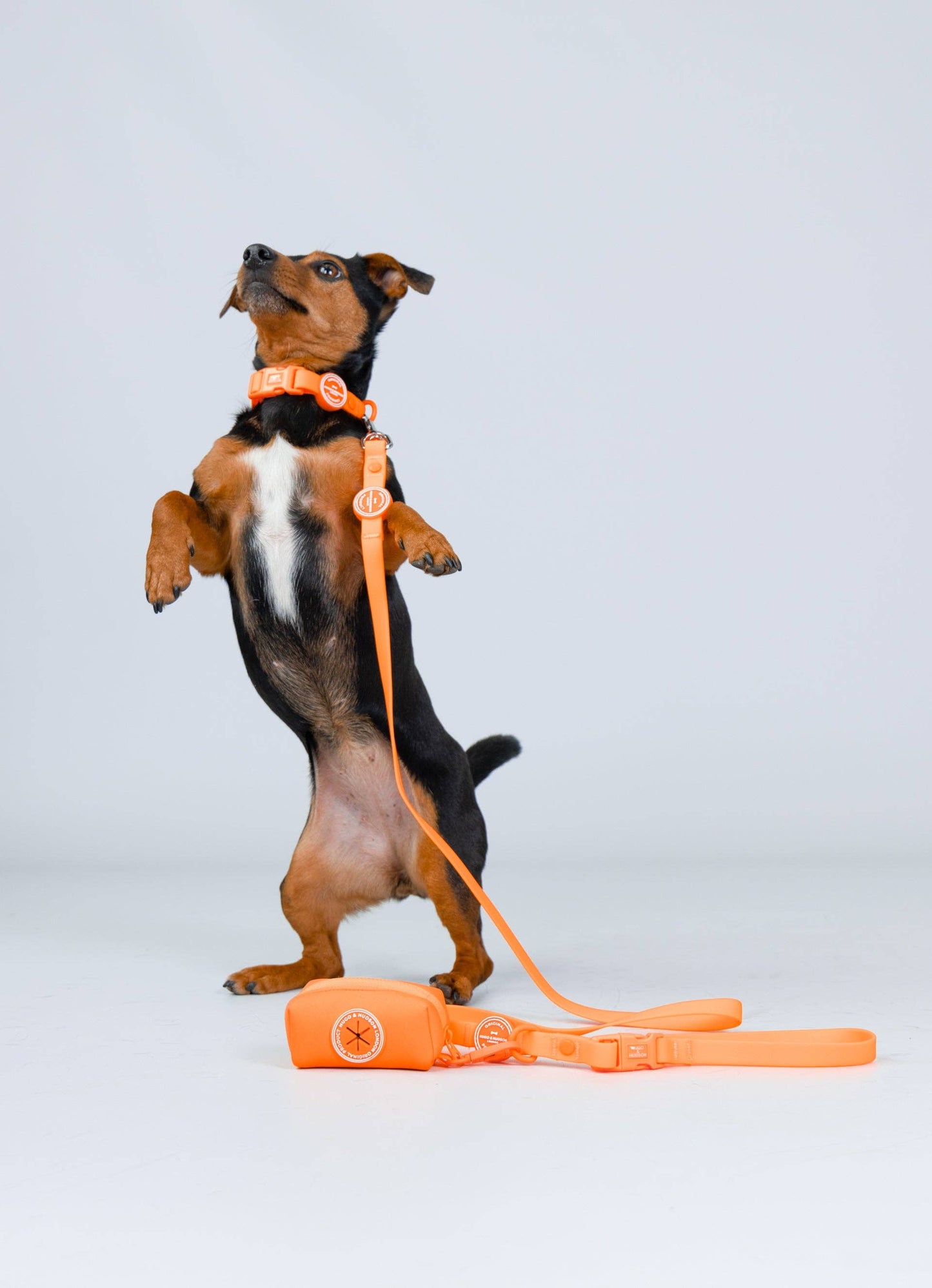 Hugo & Hudson - Poop Bag Holder - Orange - One Size