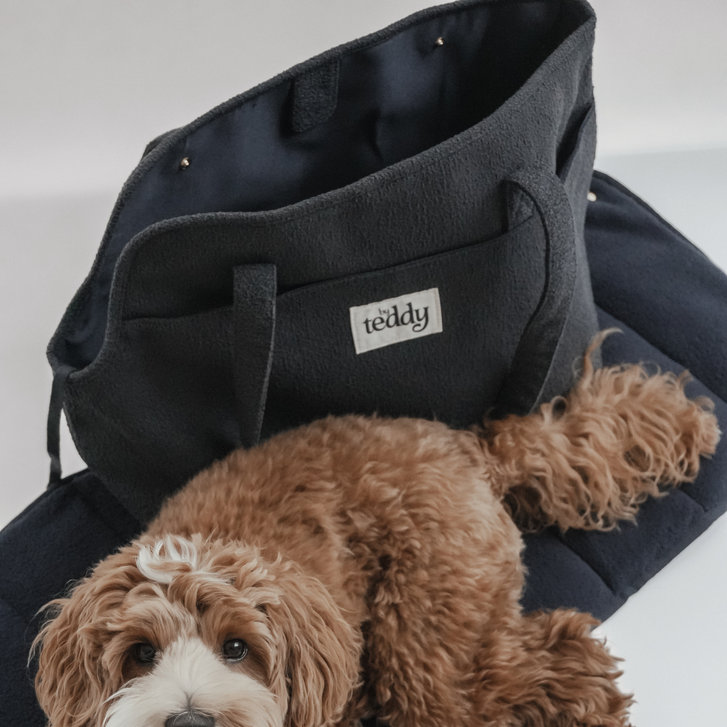 By Teddy - Midnight┃The Bouclé Carrier
