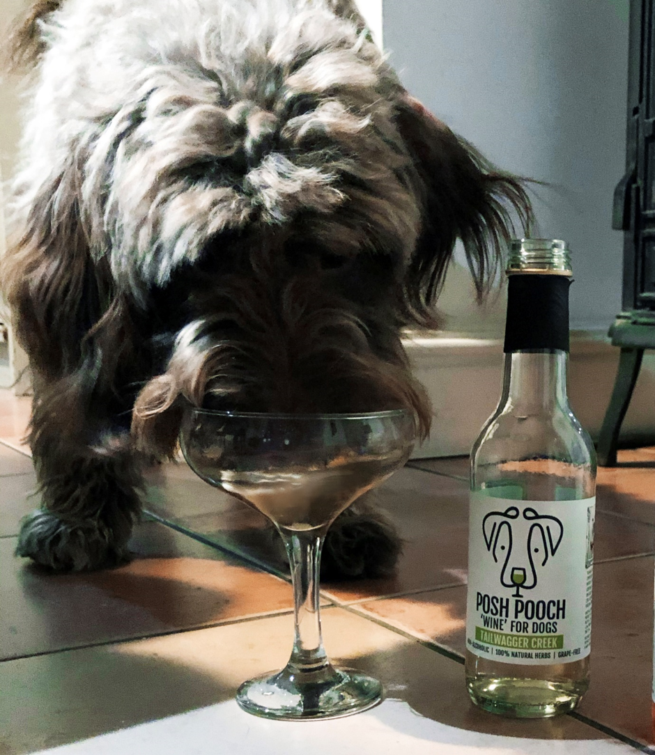 WOOF&BREW LTD - Woof&Brew Posh Pooch Dog 'Wine' Treat - Ideal Gift