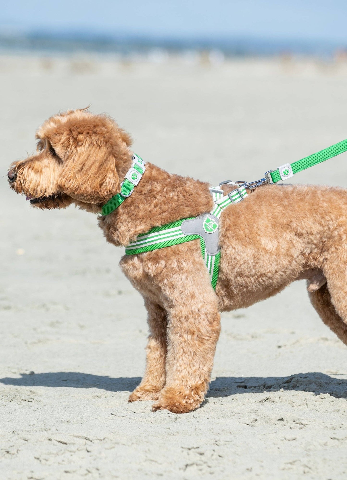 Hugo & Hudson - Easy Walk V Dog Harness - Green - 3