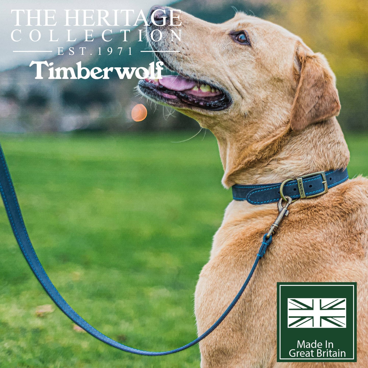 Ancol Pet Products Ltd - Timberwolf Leather Lead - various colours- 1m x 19mm - Blue / 1mx19mm
