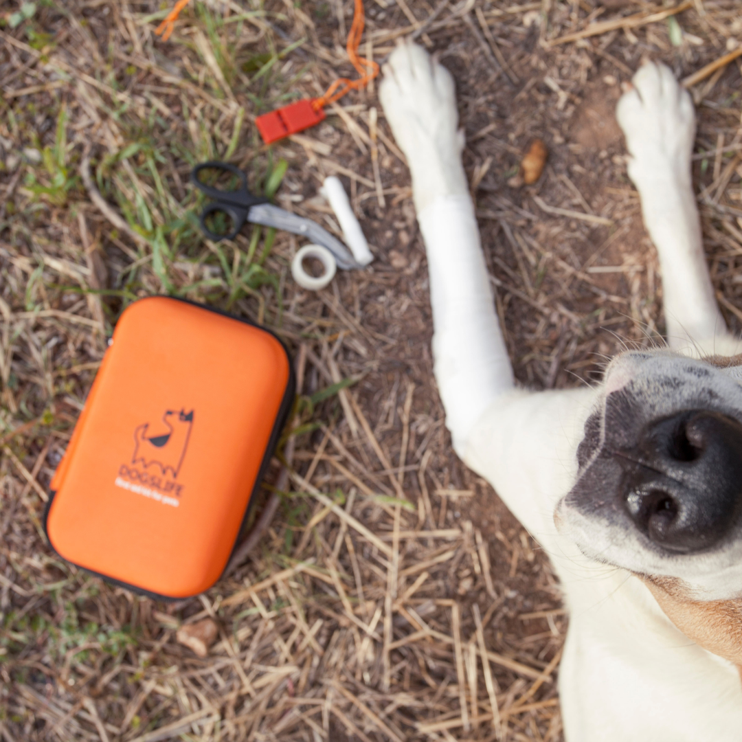 DogsLife - Dog First Aid Kit