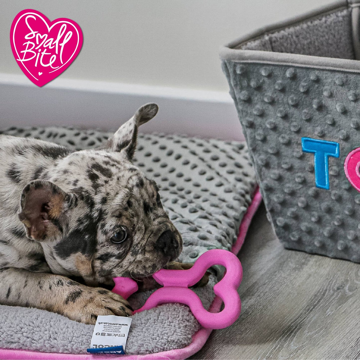 Ancol Pet Products Ltd - Small Bite Soft Bone