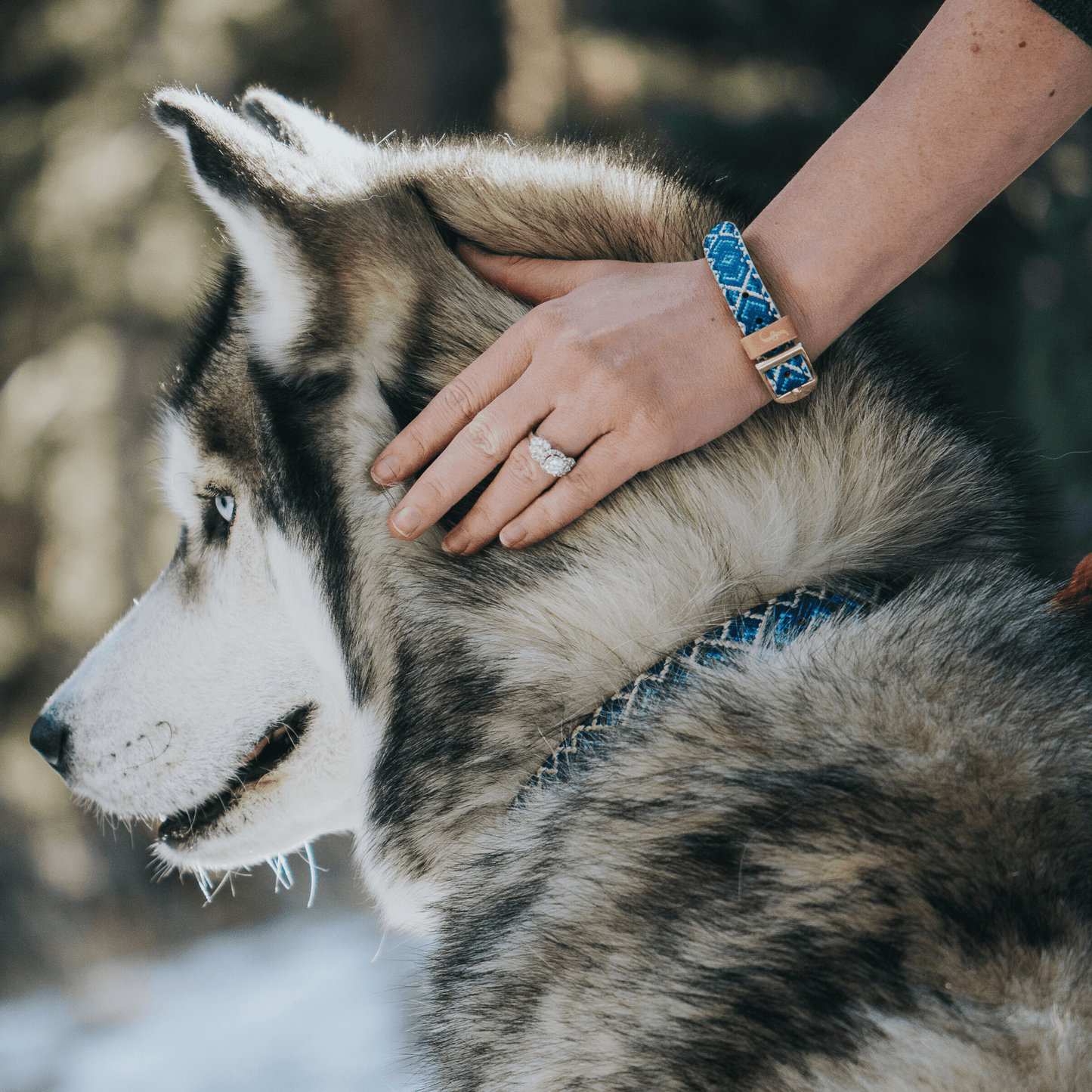 Friendship Collar - The Mucky Pup Matching Collar & Bracelet - XXS