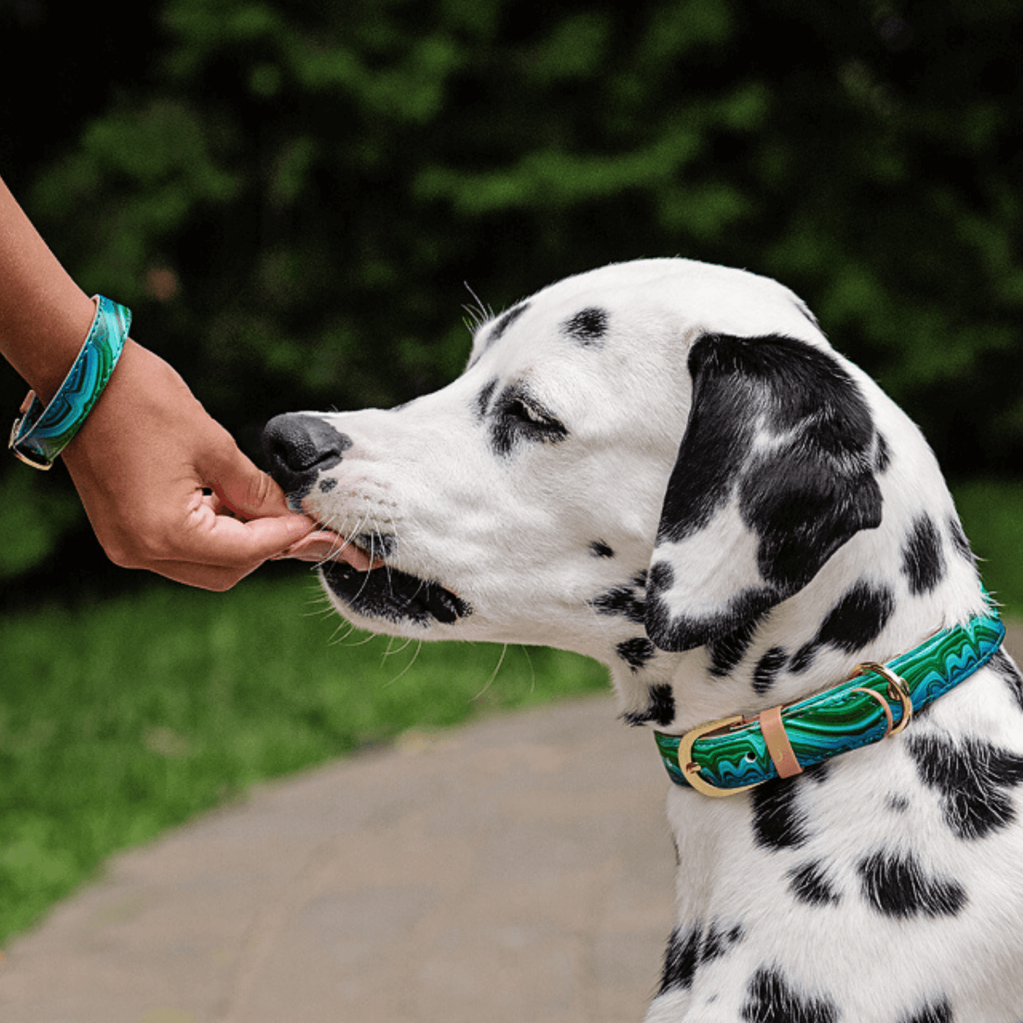Friendship Collar - Magical Malachite Matching Collar & Bracelet - XS