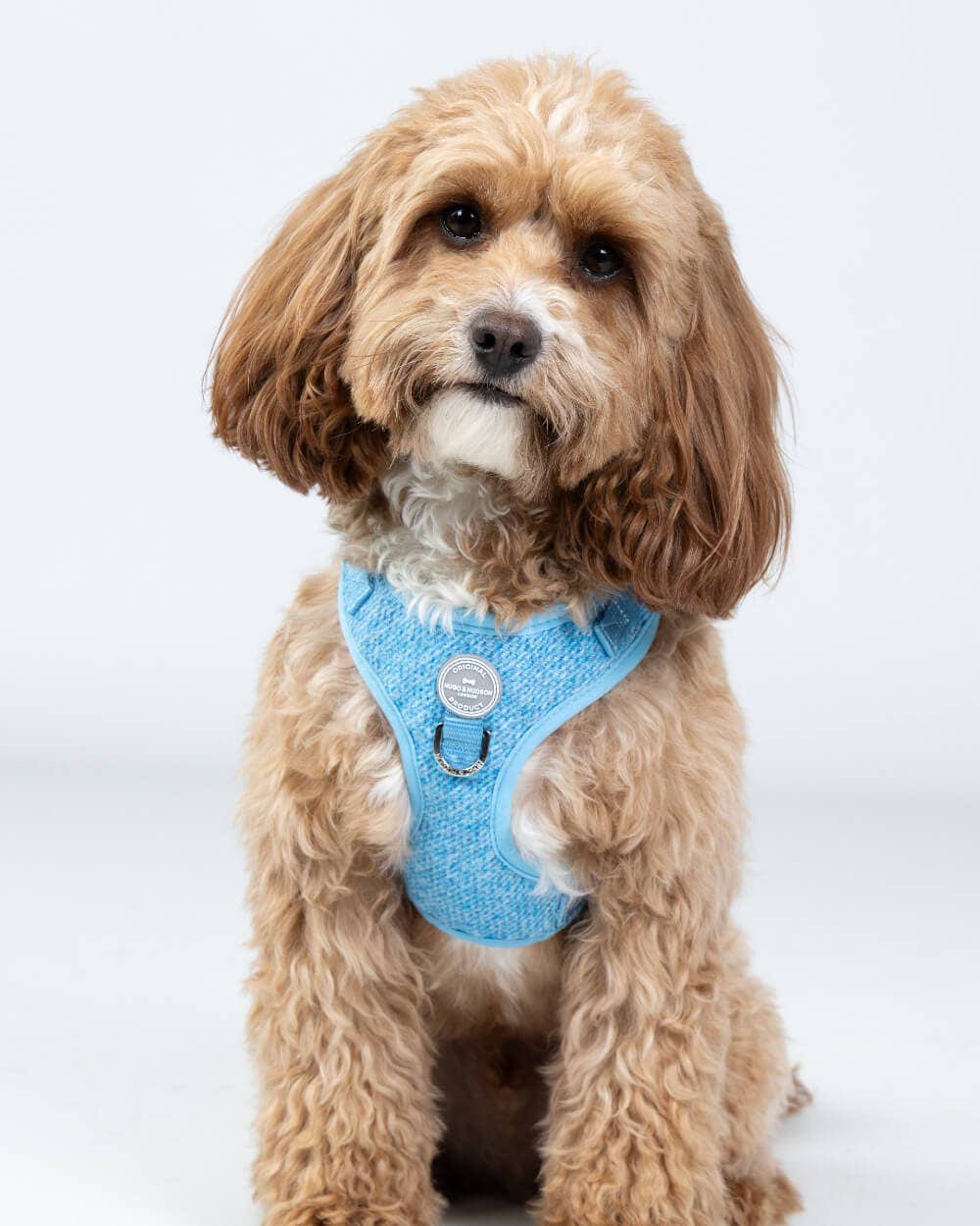 Hugo & Hudson - Blue Luxury Tweed Dog Harness - L