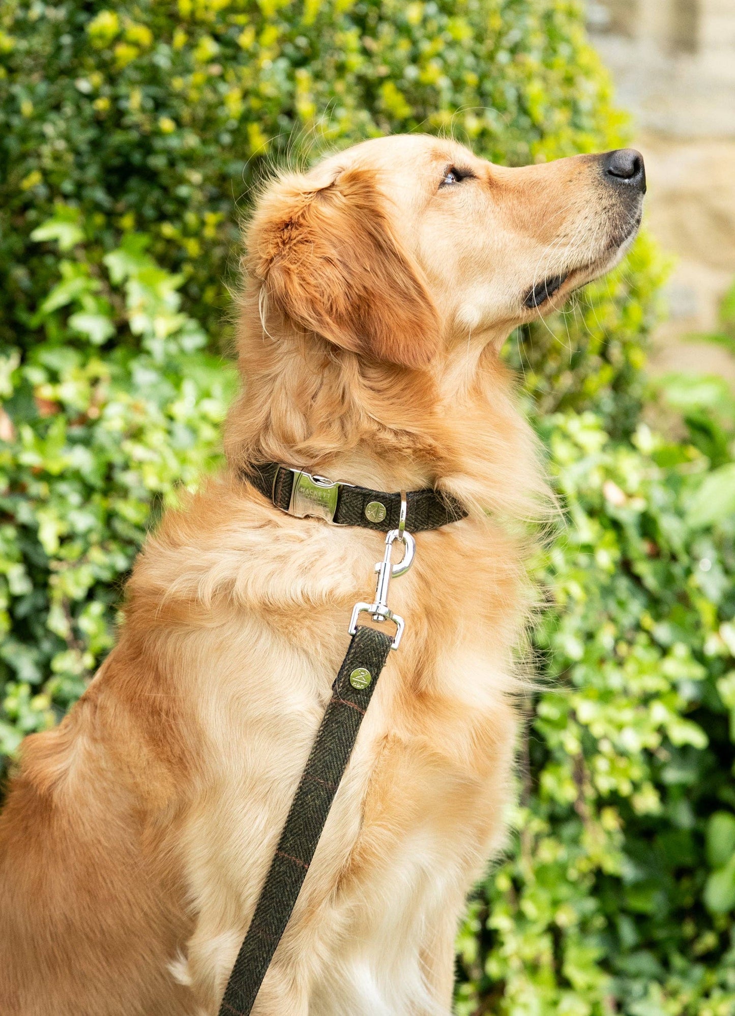 Hugo & Hudson - Hackett x Hugo Hudson Dark Green Checked Tweed Dog Collar - S