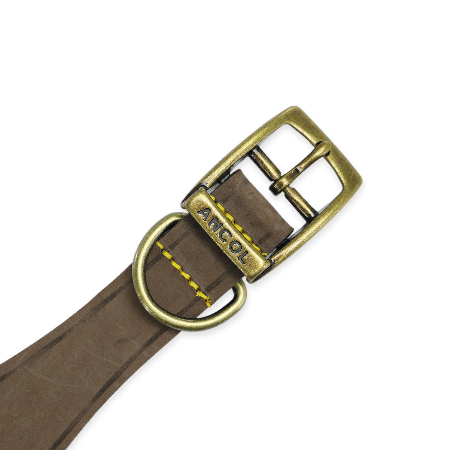 Ancol Pet Products Ltd - Timberwolf Hound Collar ( Size 34-43cm) - Green / 34-43cm