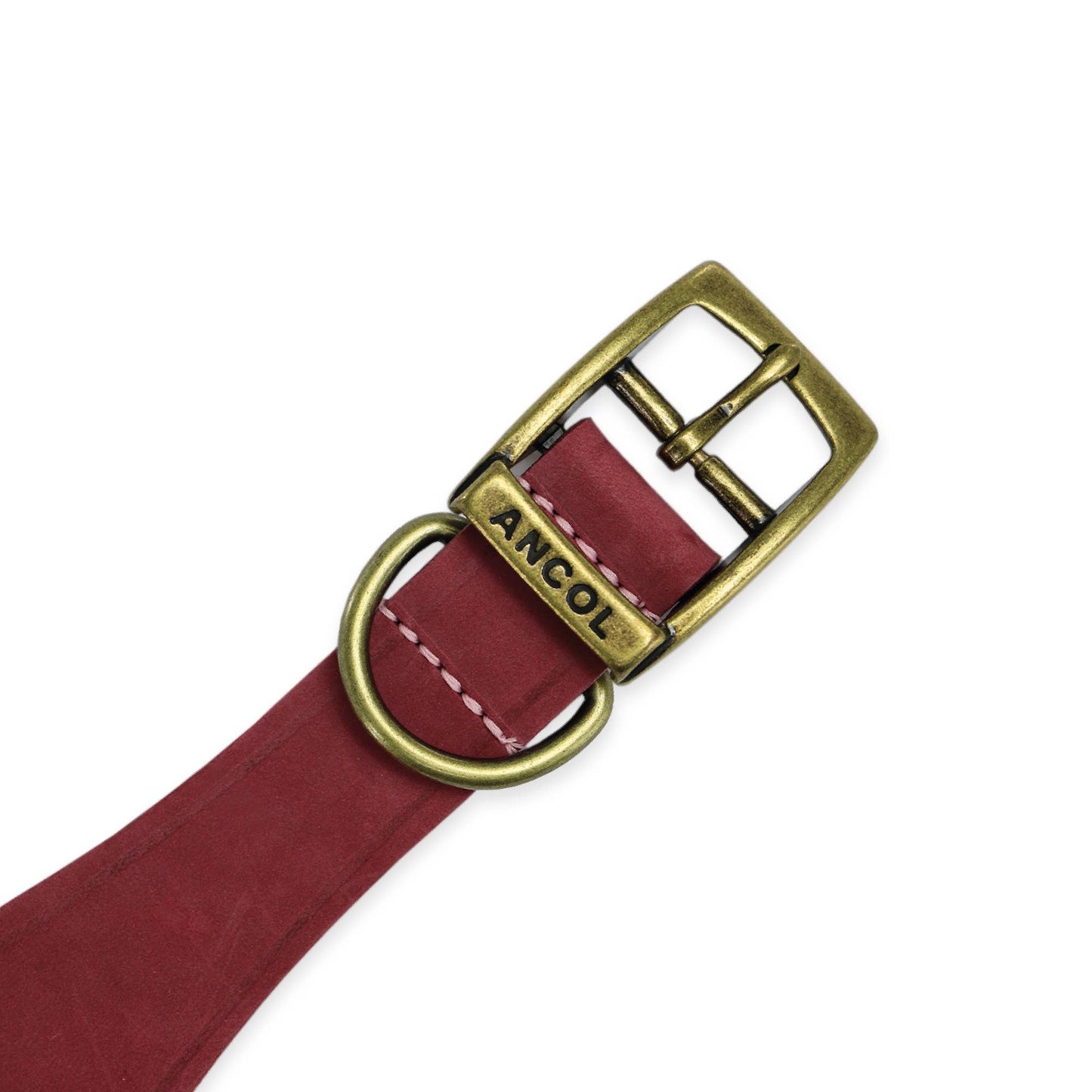 Ancol Pet Products Ltd - Timberwolf Leather Hound Collar ( Size 30-34cm) - Green / 30-34cm