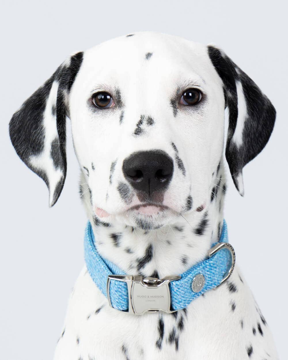Hugo & Hudson - Blue Luxury Tweed Dog Collar - L