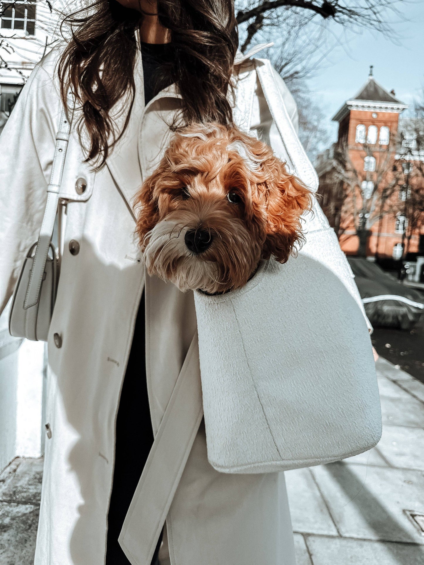 By Teddy - Marshmallow┃The Bouclé Carrier