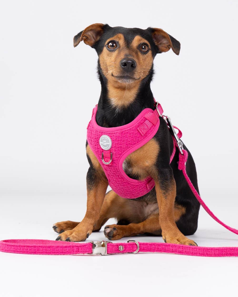Hugo & Hudson - Pink Luxury Tweed Dog Lead - XS/S