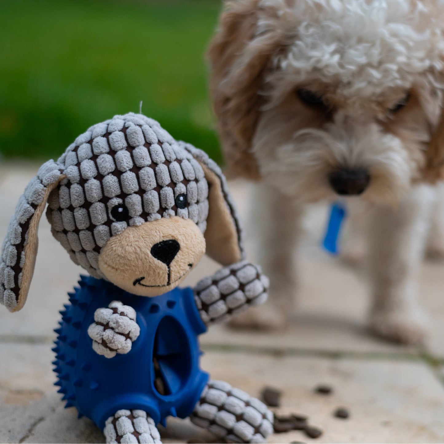 Ancol Pet Products Ltd - ORVA Cuddle Tough Tummies Dog - Dog
