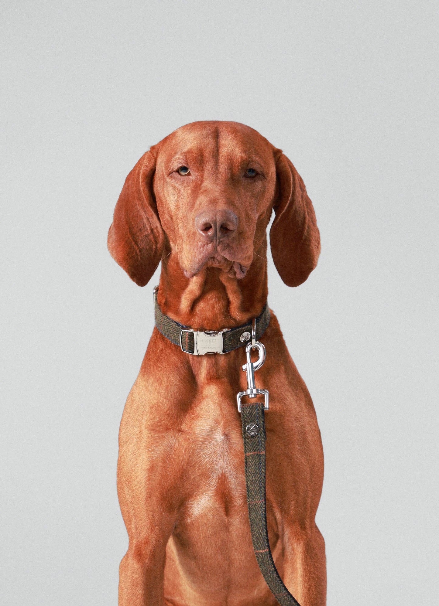 Hugo & Hudson - Hackett x Hugo Hudson Dark Green Checked Tweed Dog Collar - S