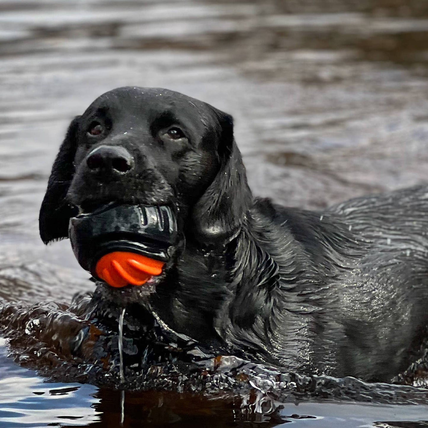 Ancol Pet Products Ltd - Ancol Extreme Tough Ball Dog Toy - Tough Ball