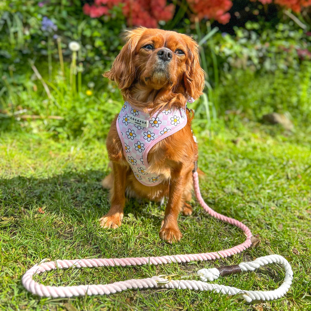 Cocopup London - Double Ended Rope Lead - Baby Pink