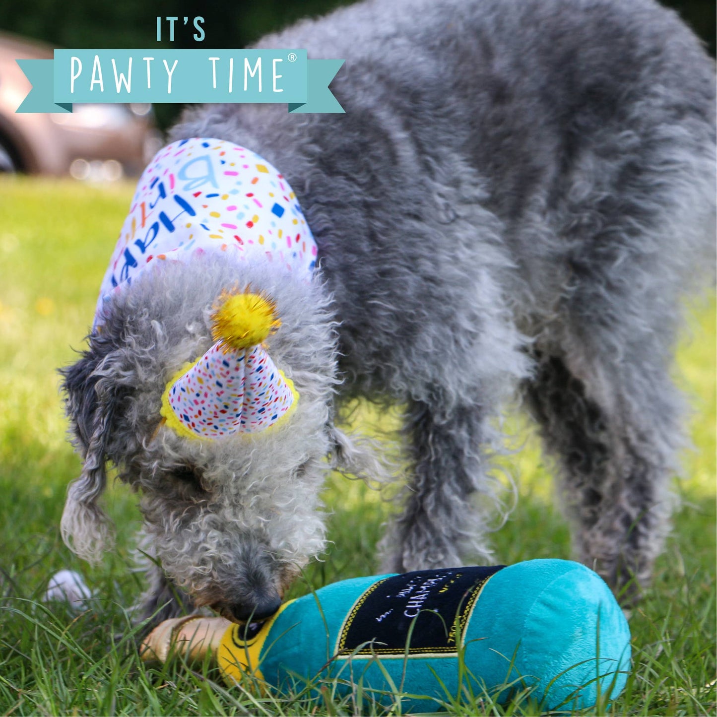 Ancol Pet Products Ltd - Pawty Time Champagne Dog Toy