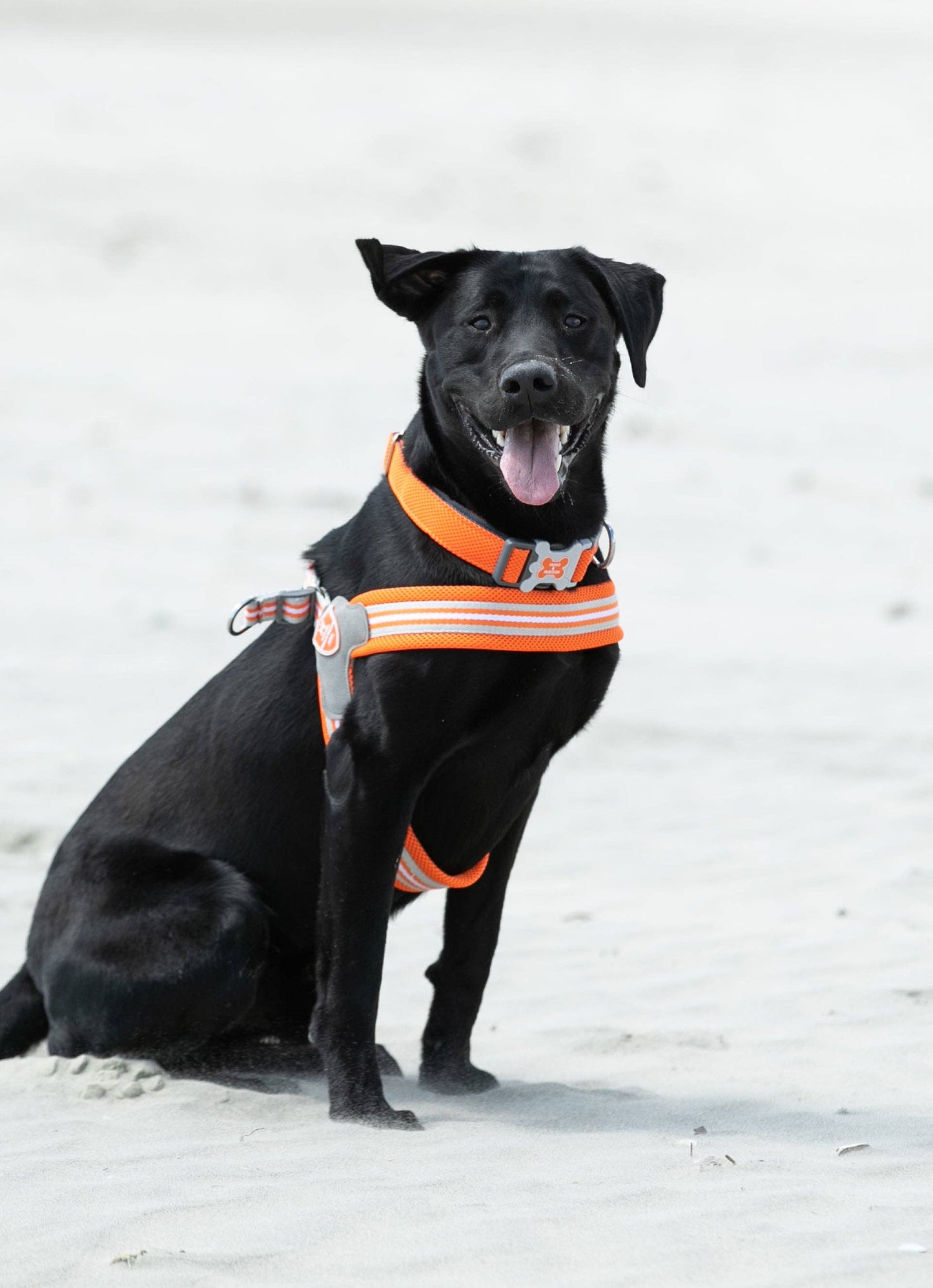 Hugo & Hudson - Easy Walk V Dog Harness - Orange - 9