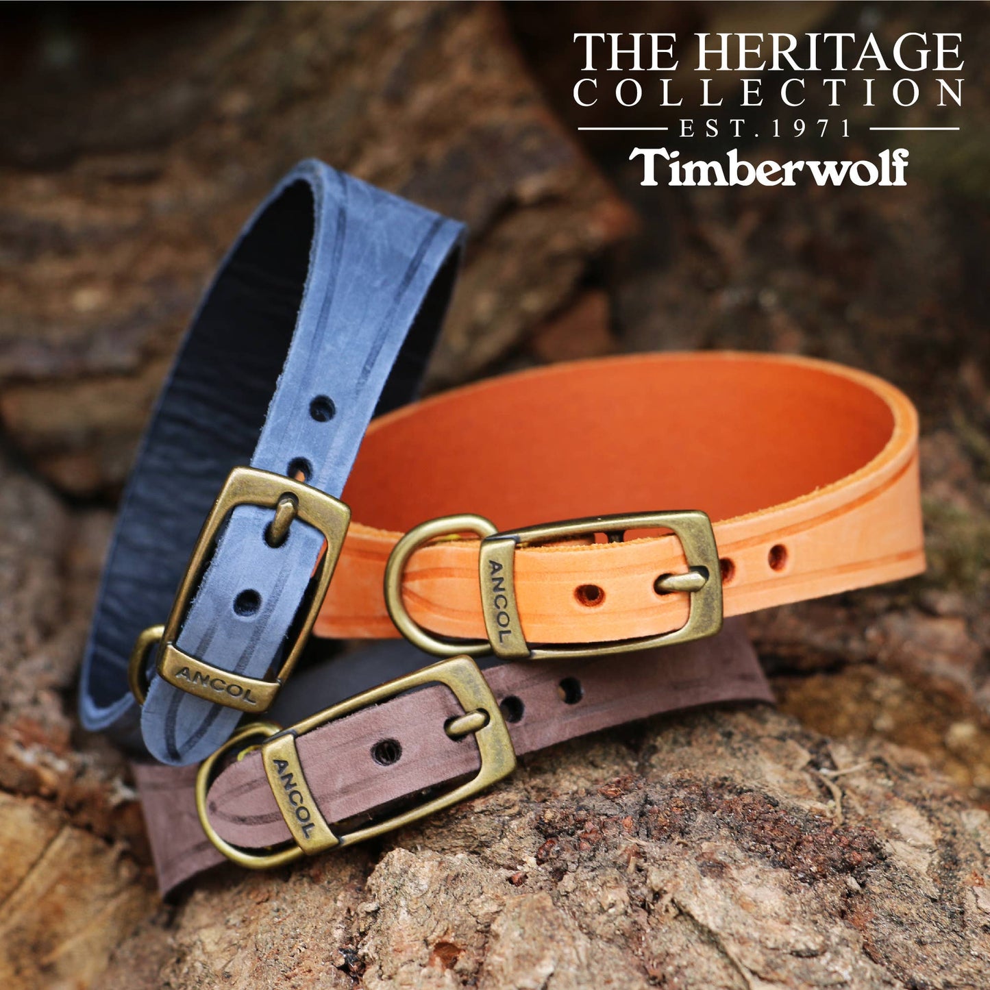Ancol Pet Products Ltd - Timberwolf Hound Collar ( Size 34-43cm) - Blue / 34-43cm