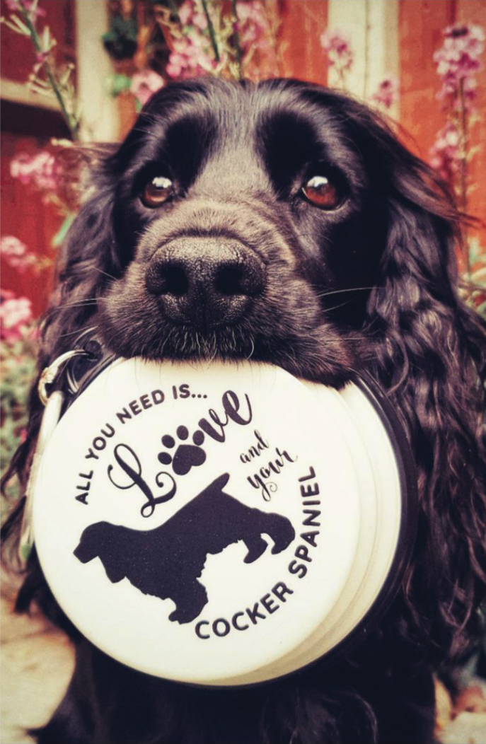 Gifted Wholesale Ltd - I Came, I Sniffed, I Rolled In It Travel Pet Bowl