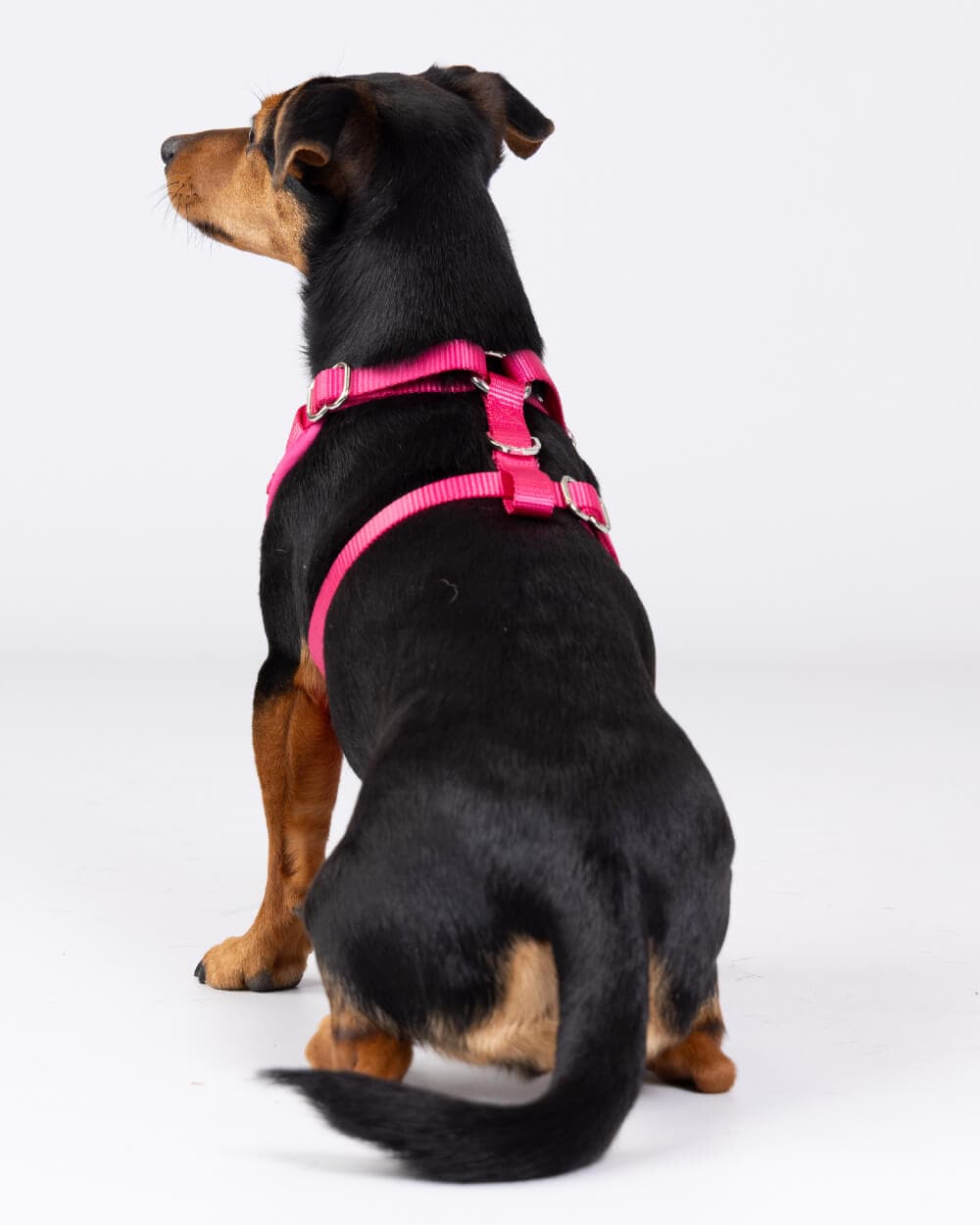 Hugo & Hudson - Pink Luxury Tweed Dog Harness - XS