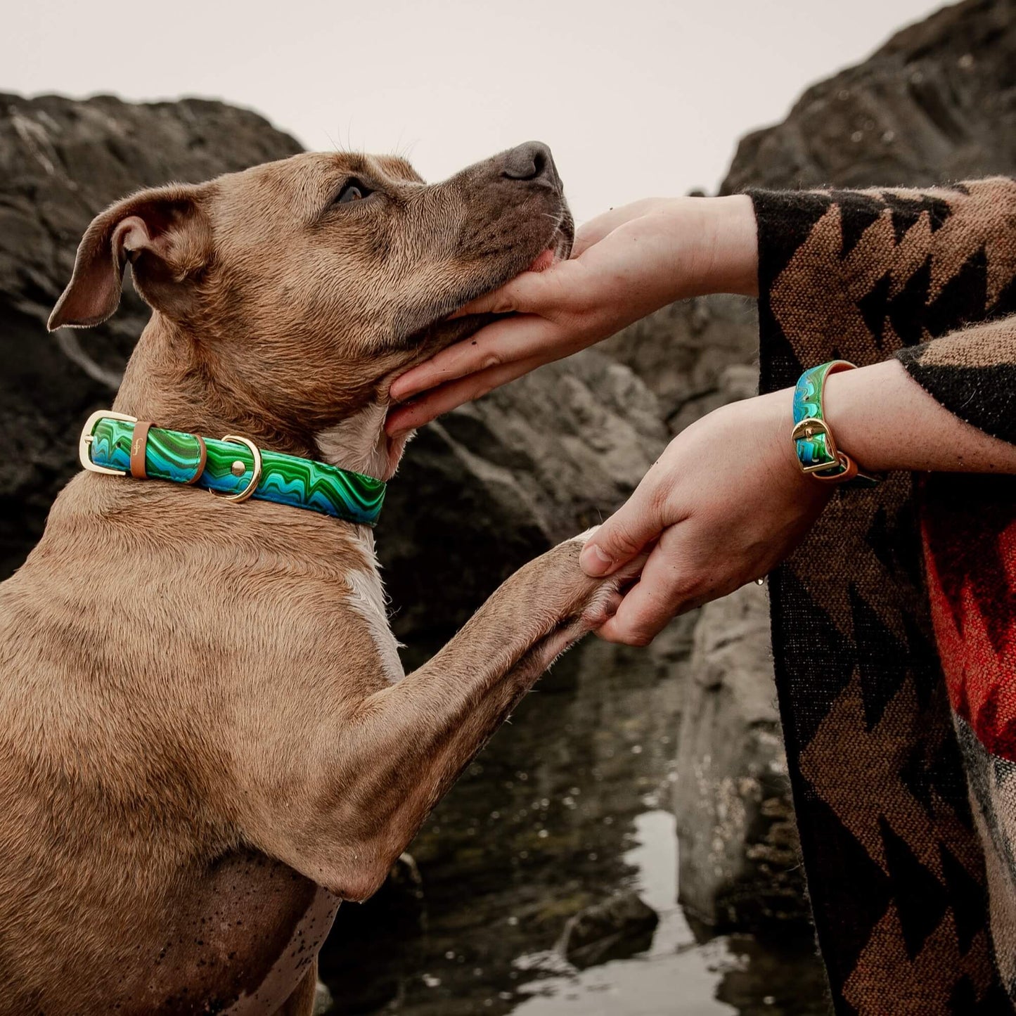 Friendship Collar - Magical Malachite Matching Collar & Bracelet - XS