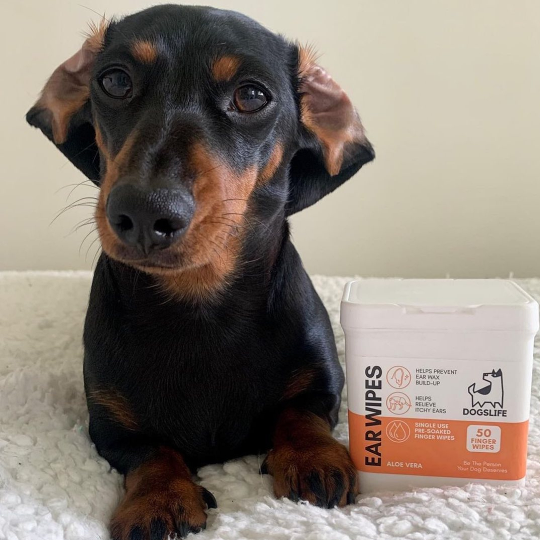 OurPetsLife - Dog Ear Wipes