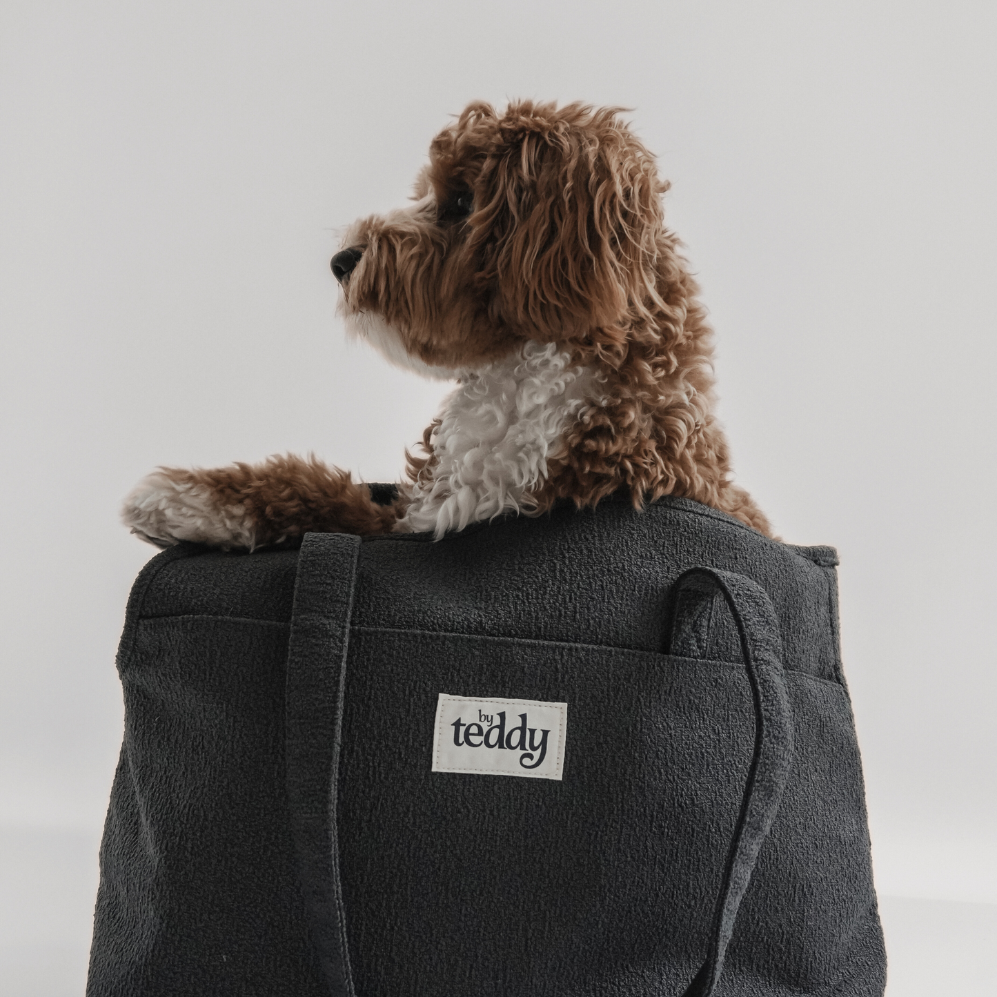 By Teddy - Midnight┃The Bouclé Carrier