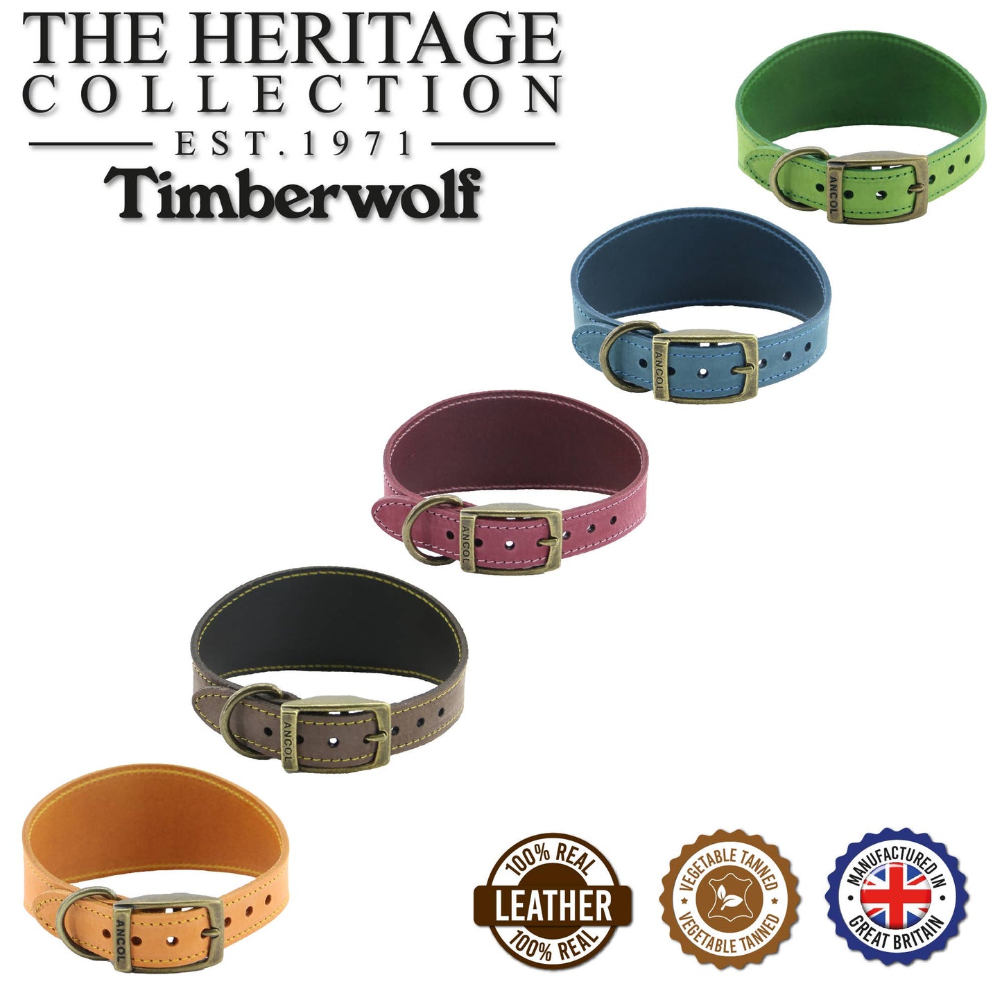Ancol Pet Products Ltd - Timberwolf Hound Collar ( Size 34-43cm) - Mustard / 34-43cm