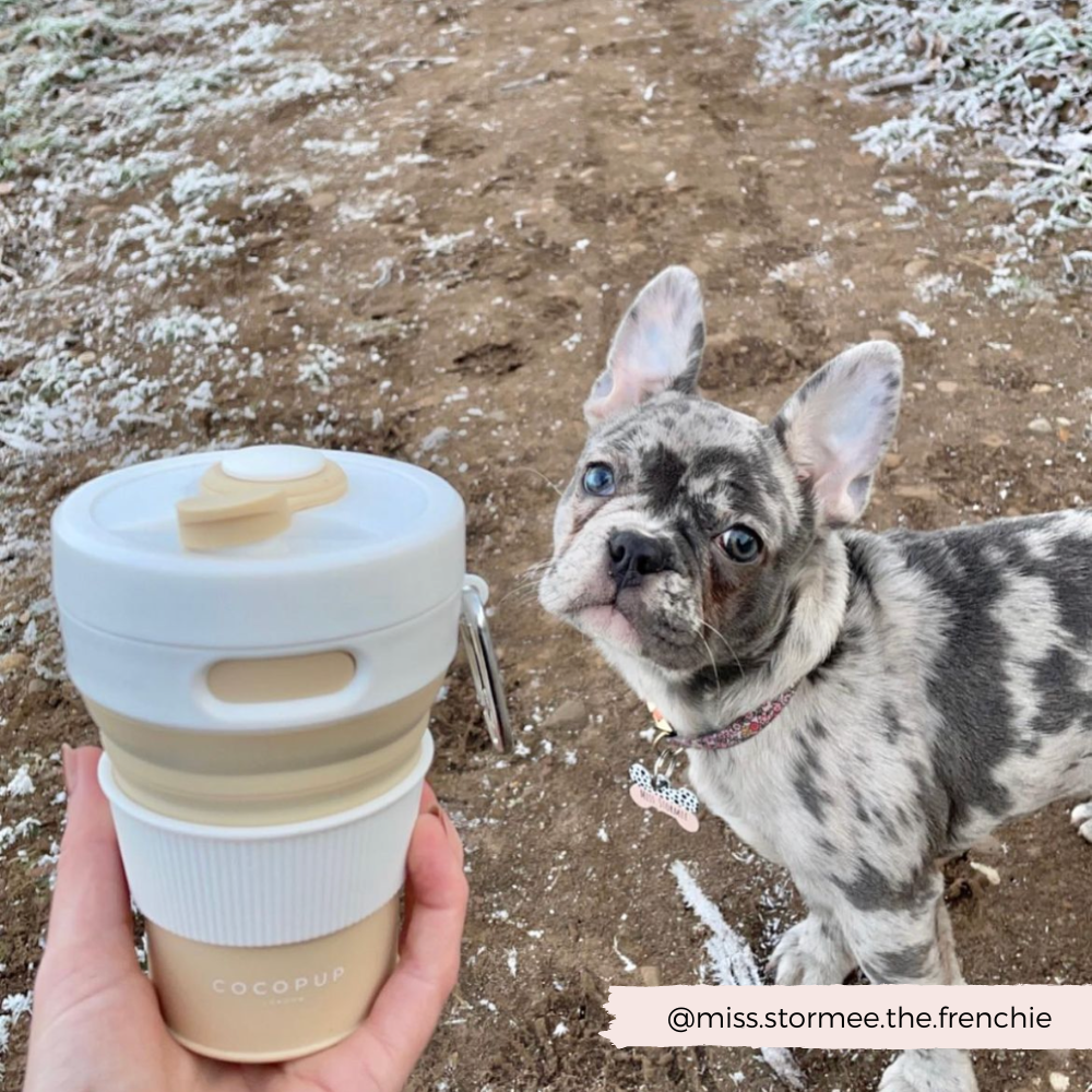 Cocopup London - Collapsible Coffee Cup - Nude