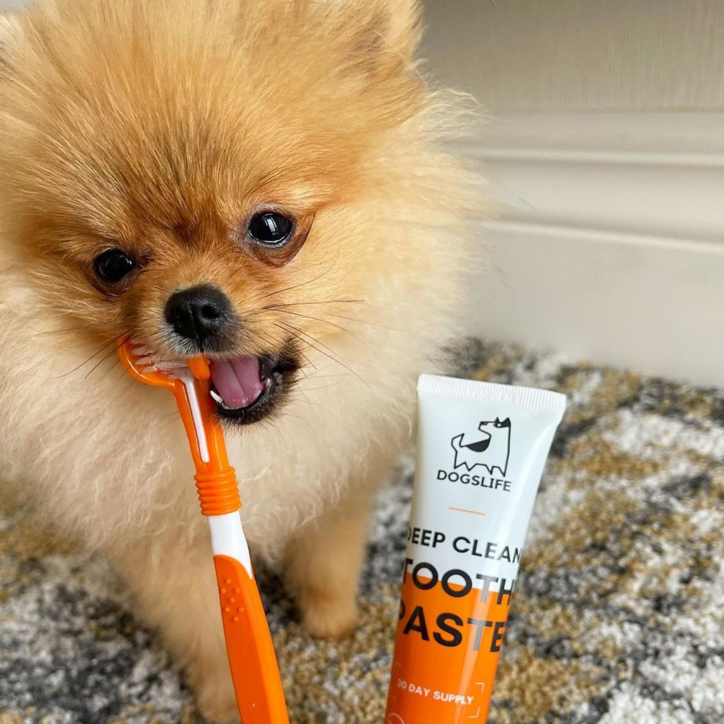 DogsLife - Dog Dental Care Kit