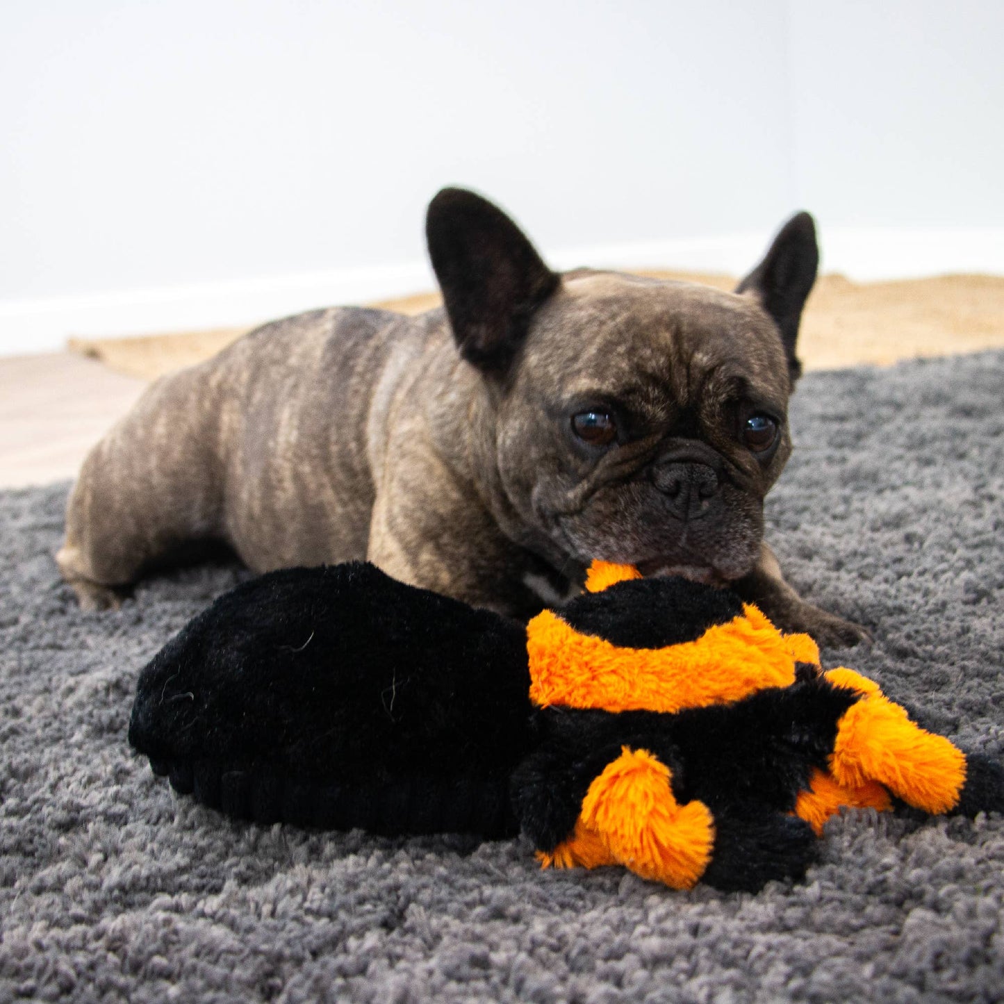 Ancol Pet Products Ltd - Ancol Play Time For Dogs - Cuddly Critters
