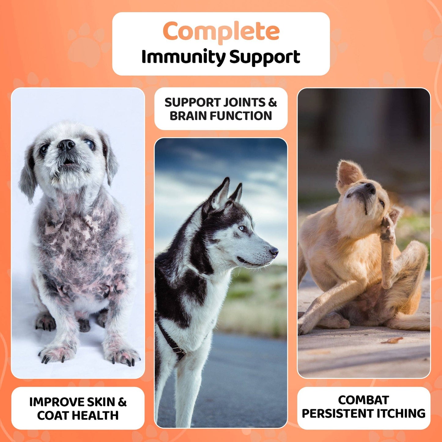 OurPetsLife - Salmon Oil For Dogs - 500ml