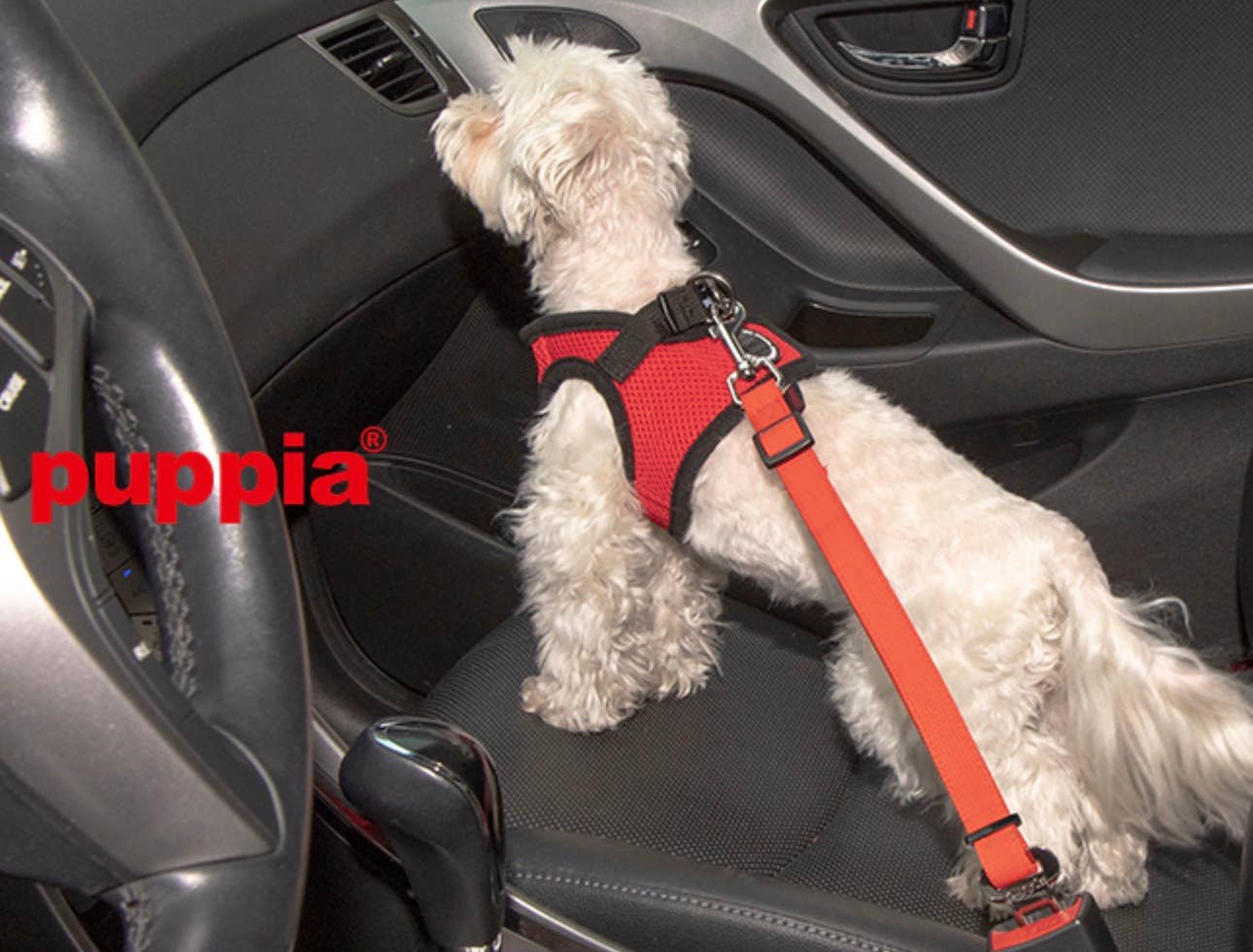 Puppia - Puppia Seatbelt - Red