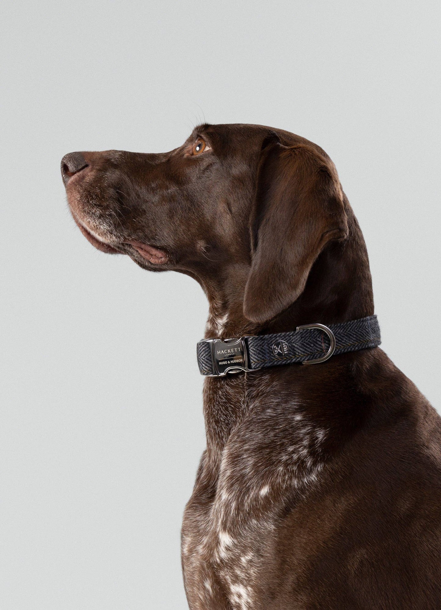 Hugo & Hudson - Hackett x Hugo Hudson Grey Checked Tweed Dog Collar - L