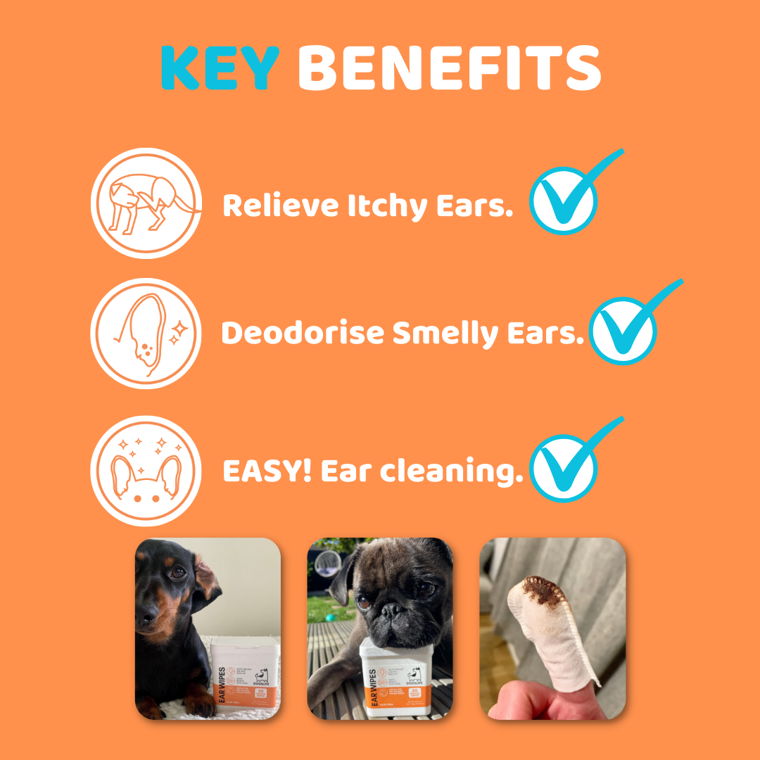 OurPetsLife - Dog Ear Wipes