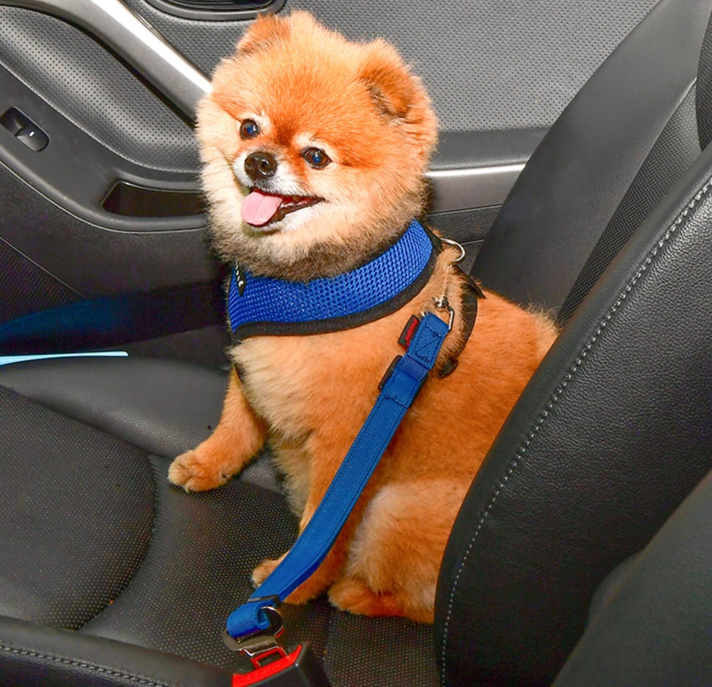 Puppia - Puppia Seatbelt - Red