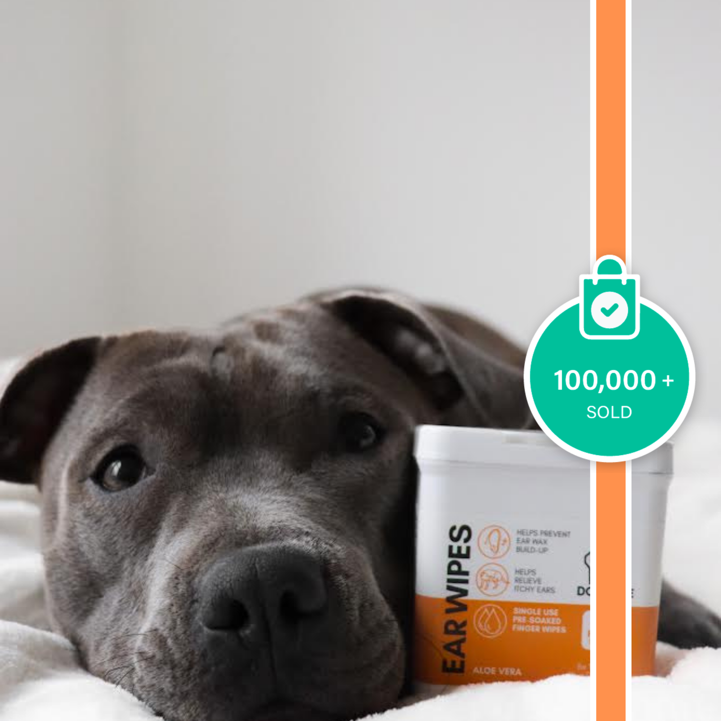 OurPetsLife - Dog Ear Wipes