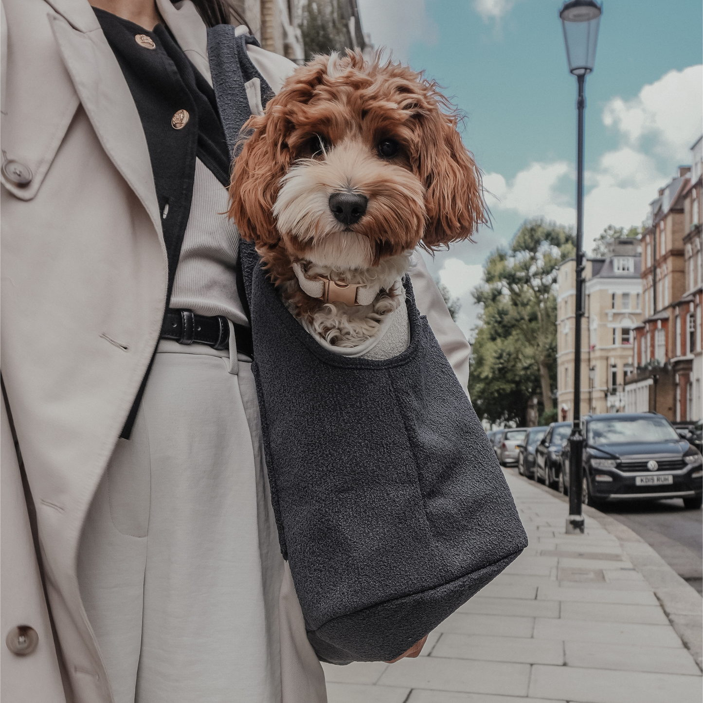 By Teddy - Midnight┃The Bouclé Carrier