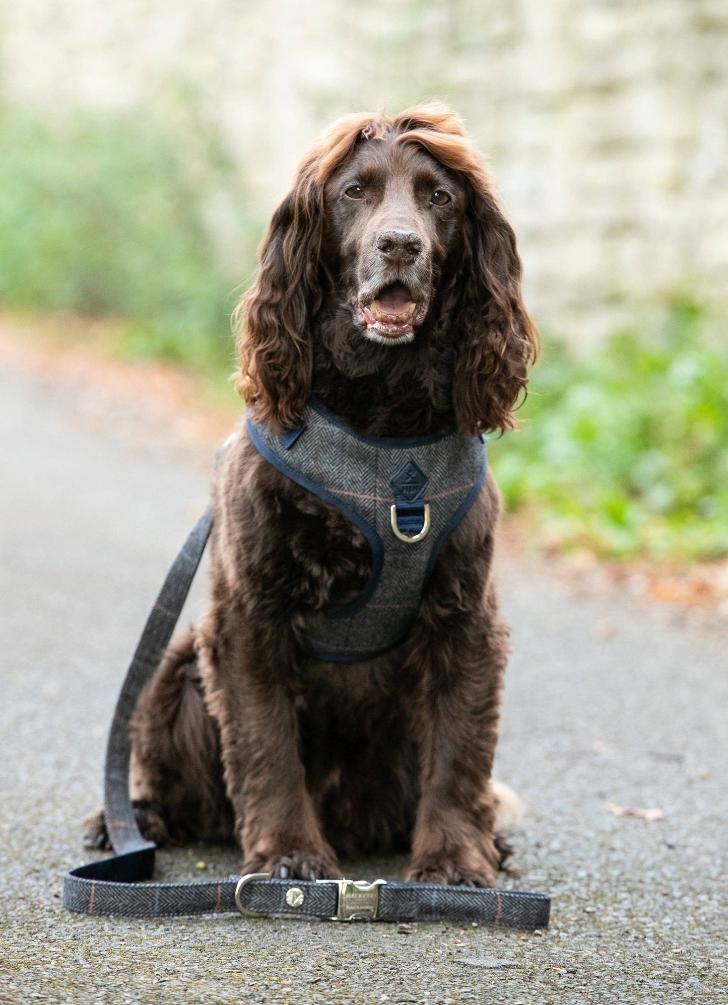 Hugo & Hudson - Hackett x Hugo Hudson Grey Checked Tweed Dog Lead - M/L