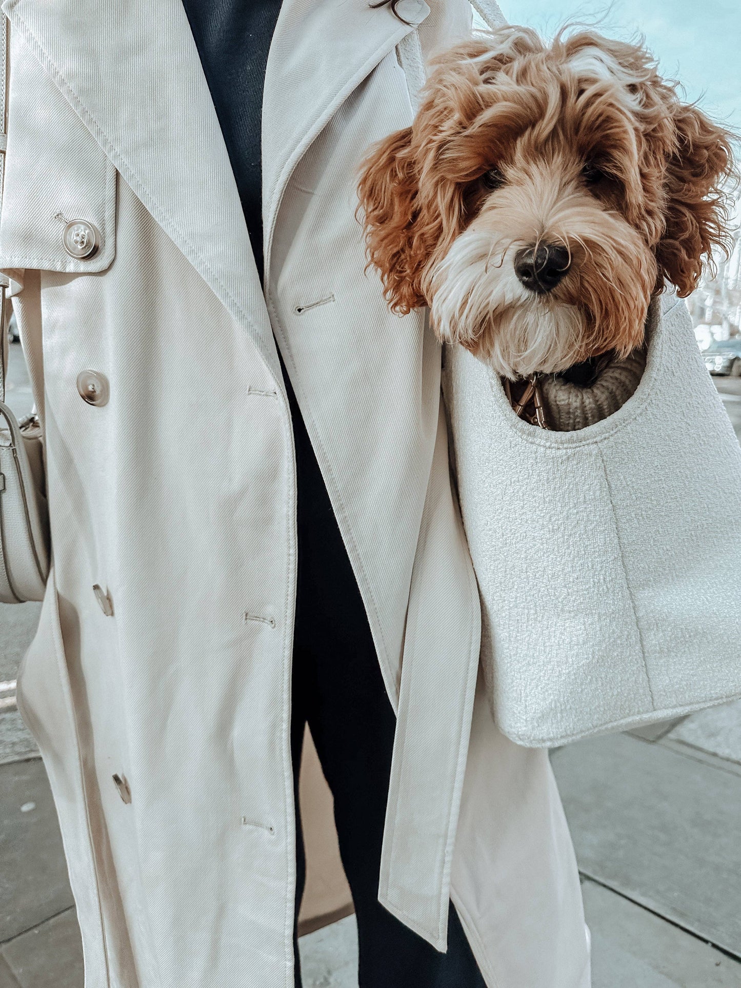By Teddy - Marshmallow┃The Bouclé Carrier