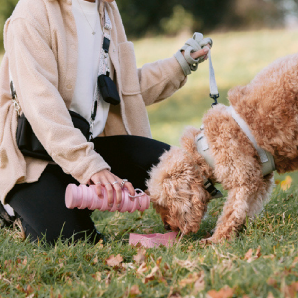 Cocopup London - Collapsible Water Bottle - Pink