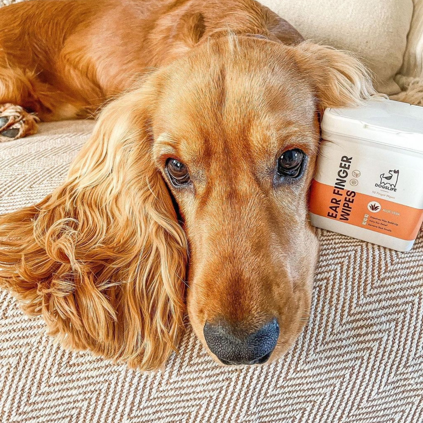 OurPetsLife - Dog Ear Wipes