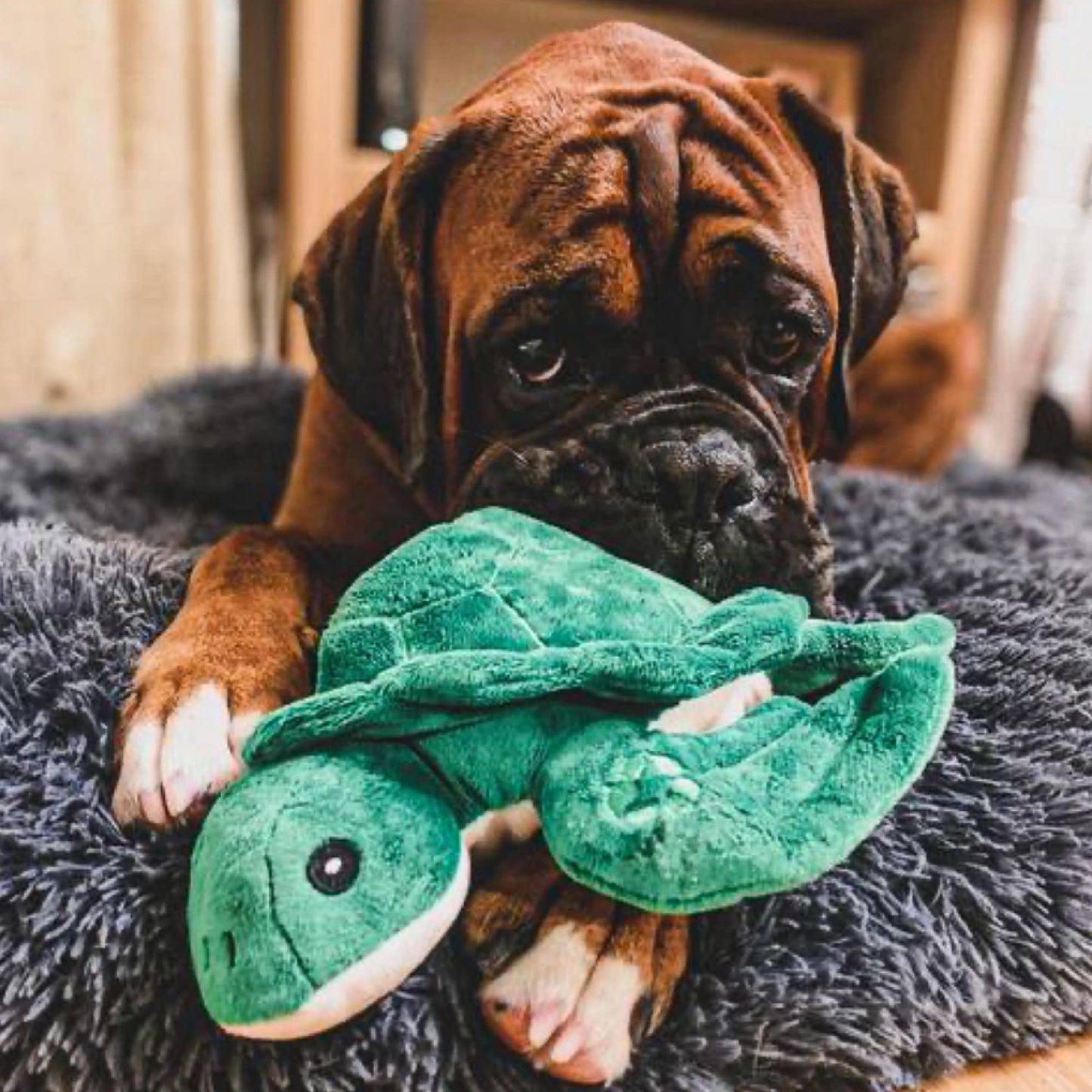 Ancol Pet Products Ltd - Made From Turtle - Green & White