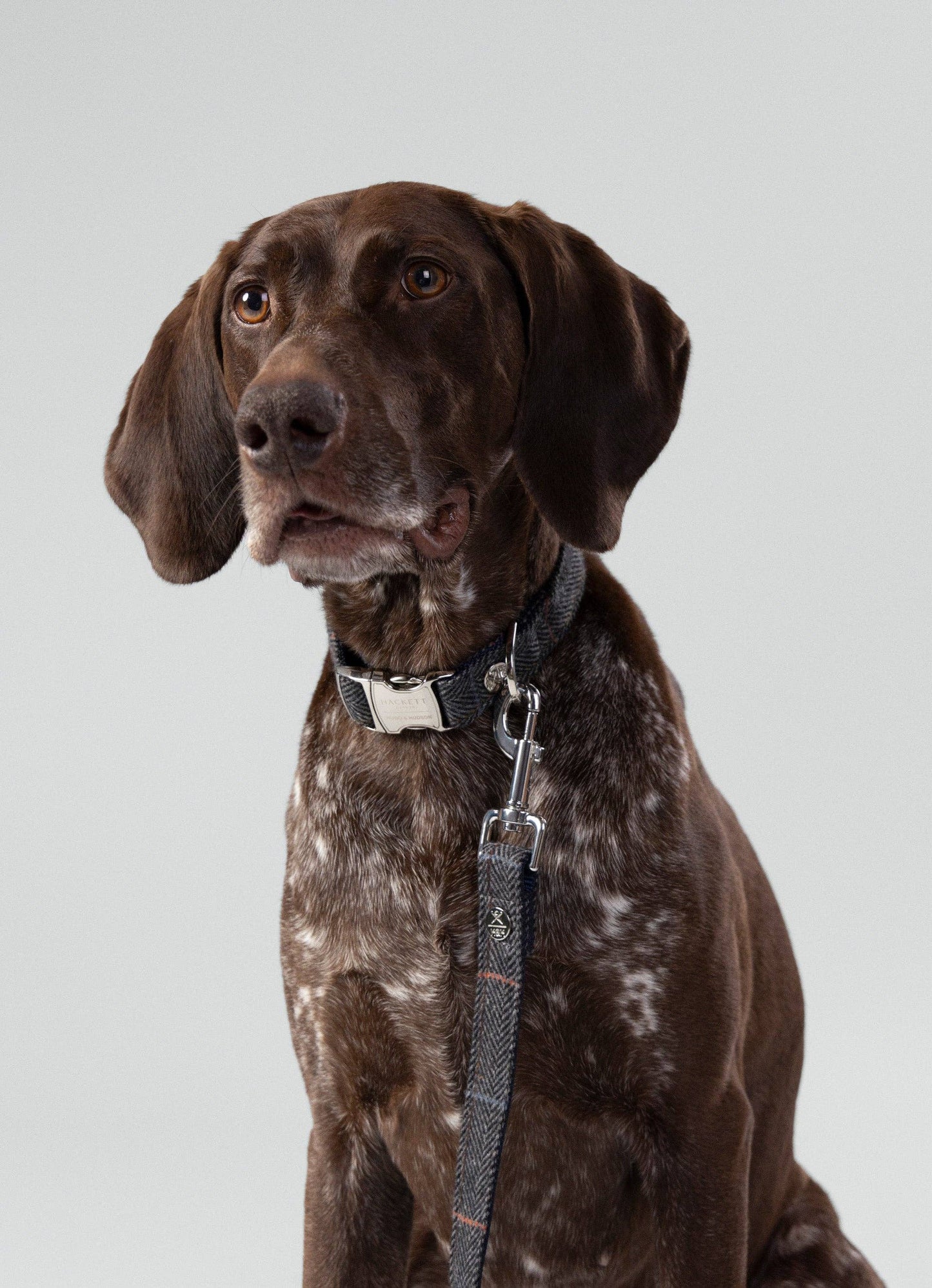 Hugo & Hudson - Hackett x Hugo Hudson Grey Checked Tweed Dog Collar - M