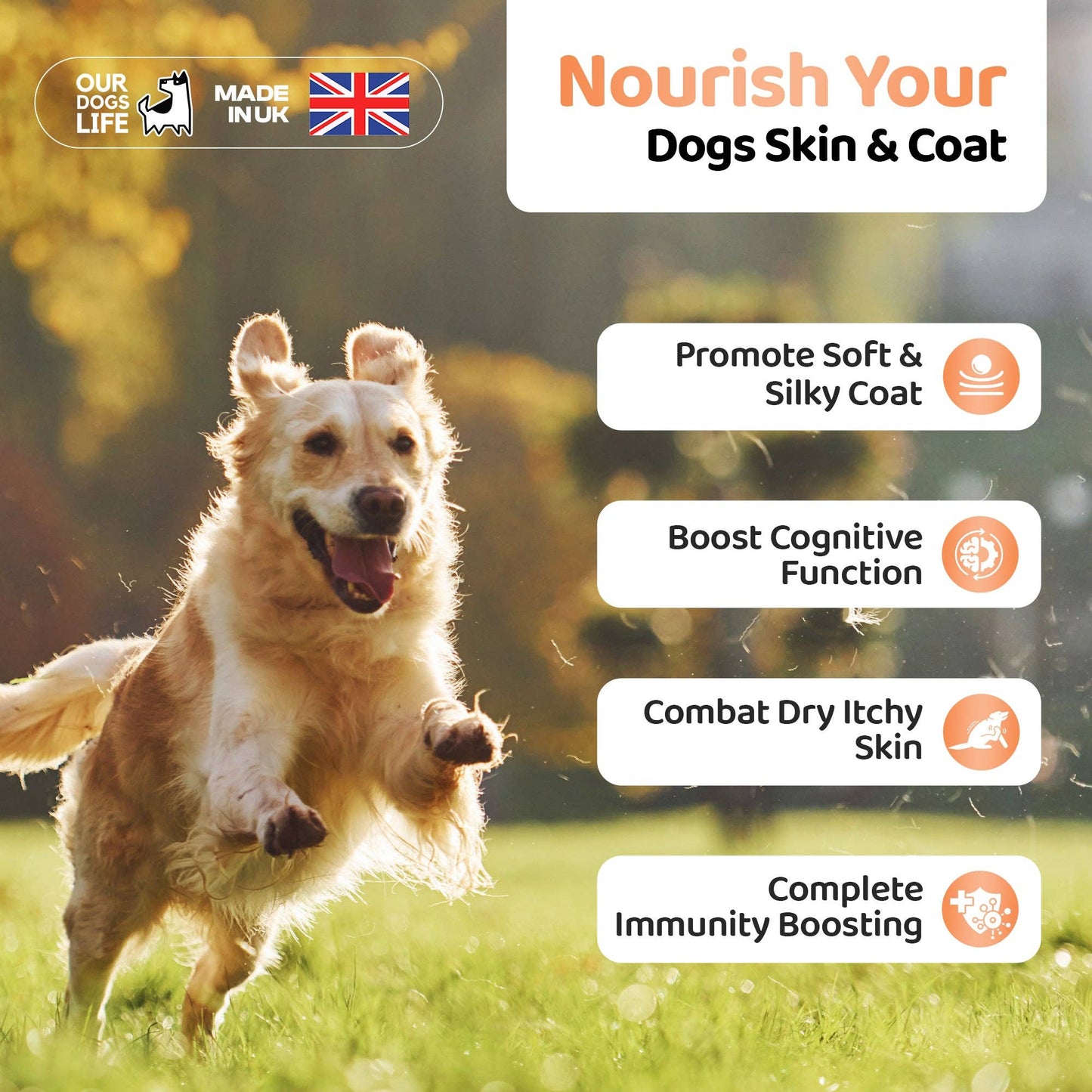 OurPetsLife - Salmon Oil For Dogs - 500ml