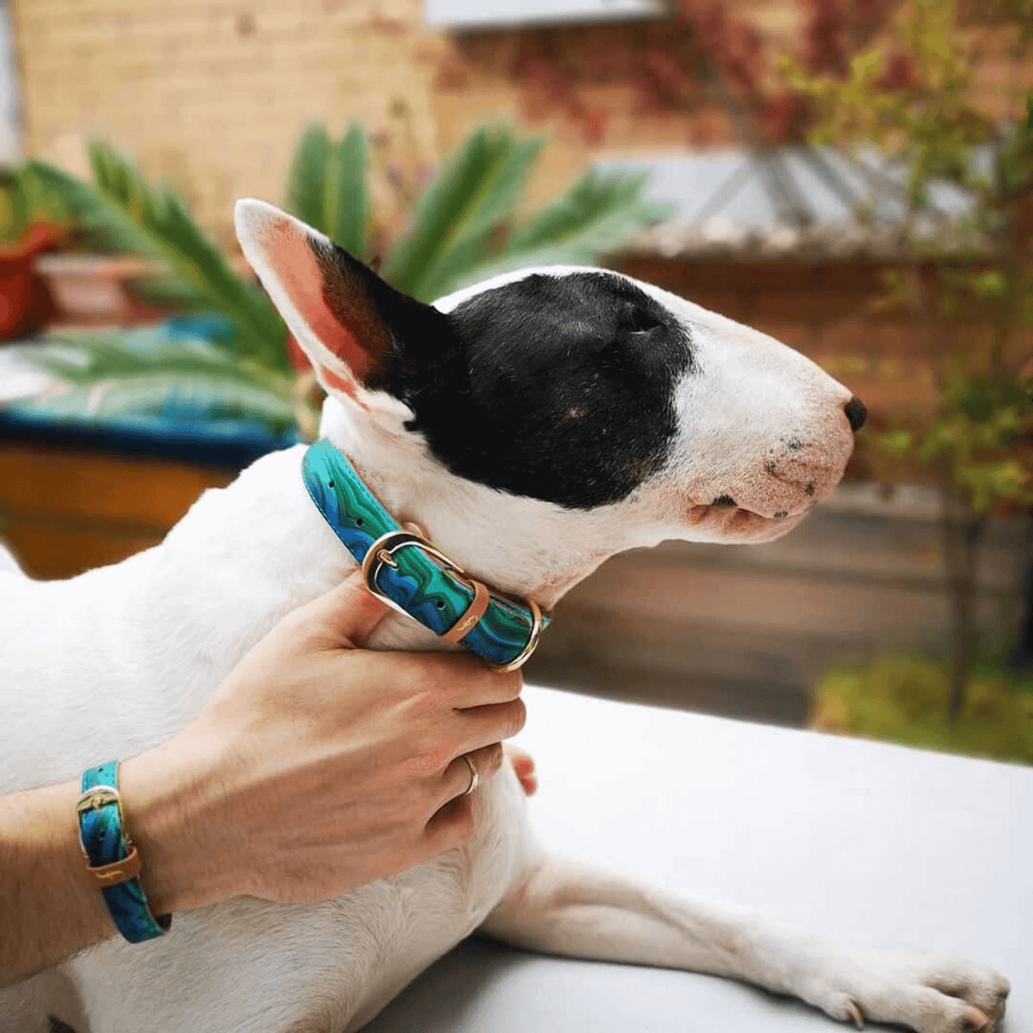 Friendship Collar - Magical Malachite Matching Collar & Bracelet - XS