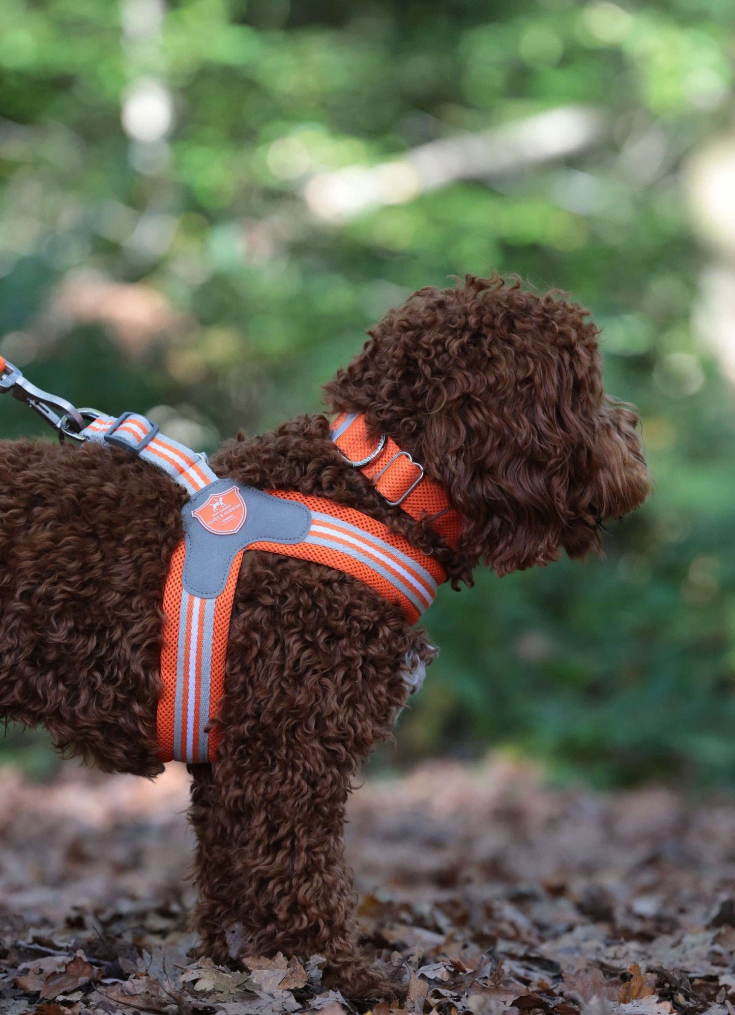Hugo & Hudson - Easy Walk V Dog Harness - Orange - 9