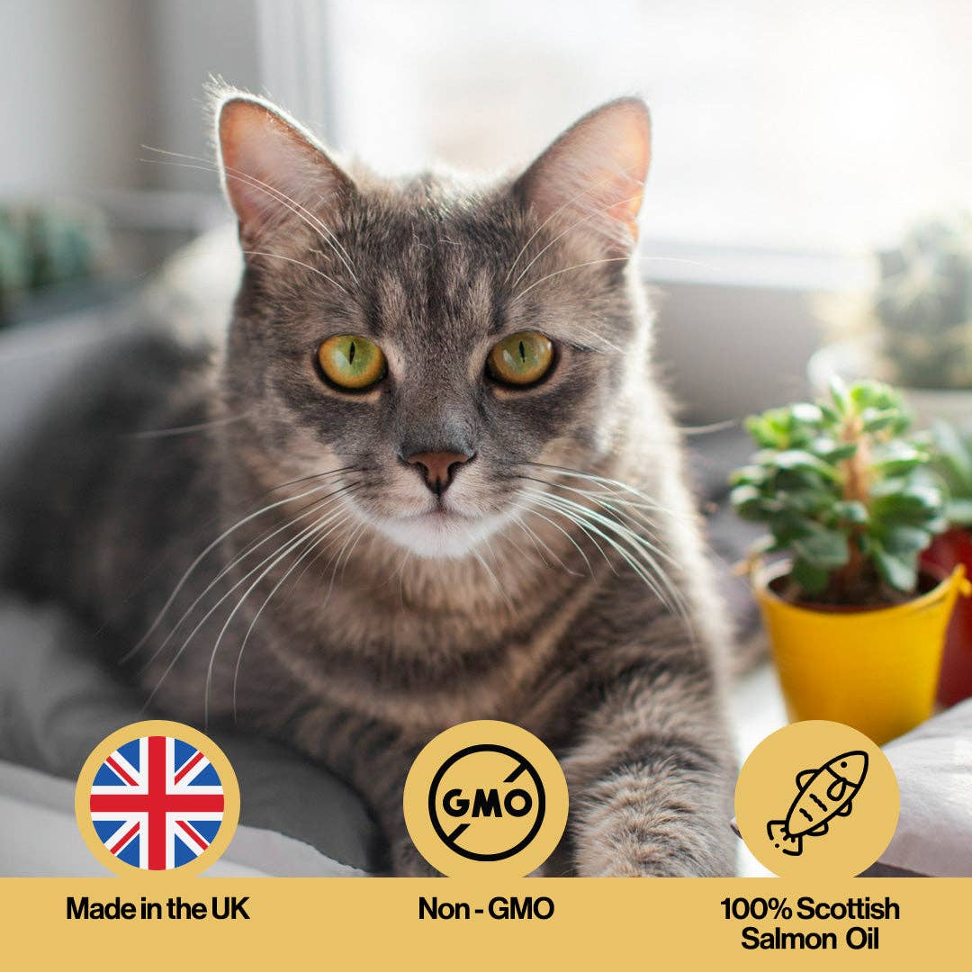 OurPetsLife - Skin & Coat Salmon Oil For Pets